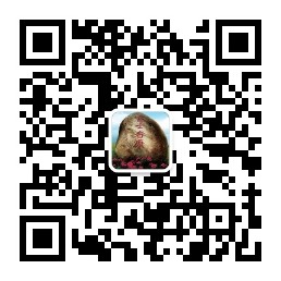 qrcode_for_gh_b767159e76e0_258.jpg